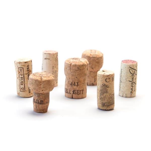 ReCORKPartnerModels_600W