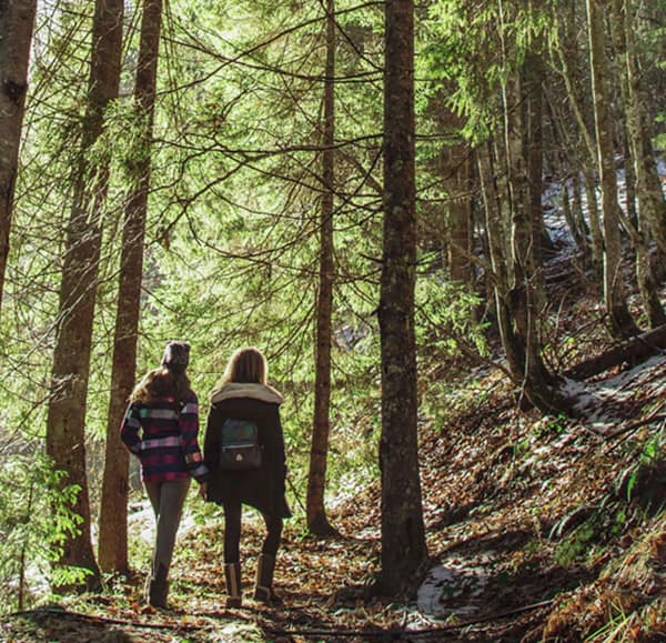 95fd5590-3a16-11e9-9c79-b147e0e2162a