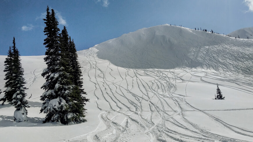 fresh tracks in powder snow