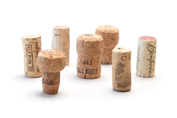 recorkpartnermodels_600x400