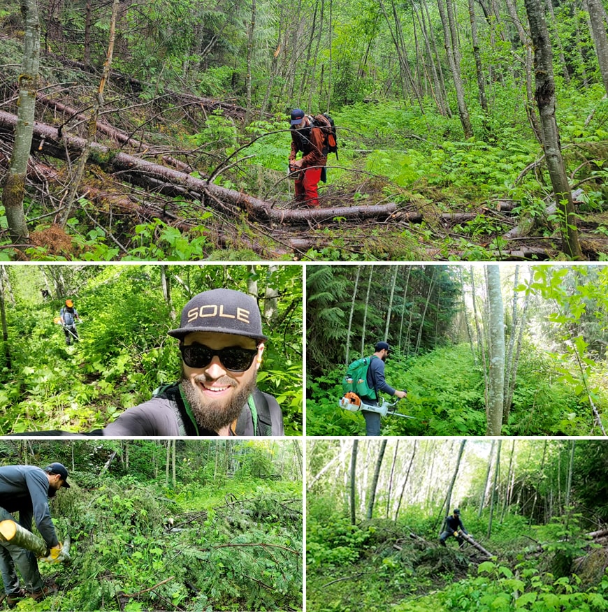clearing brush and blow down on the lizzie lake trail