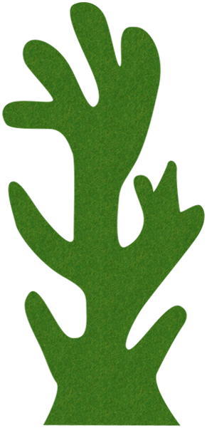 Algae Bloom Foam Sustainable Materials